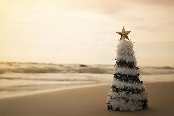 Xmas Tree Beach